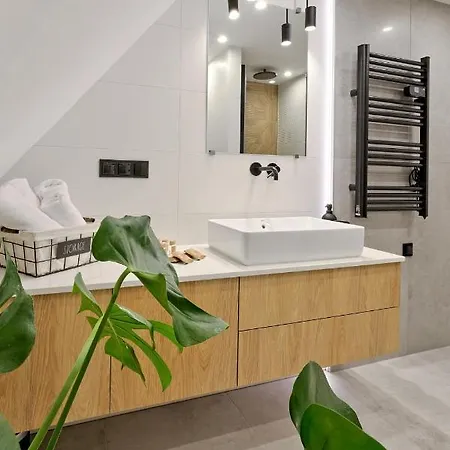 Apartamenty Male Zywczanskie Spa Odkryj Закопане Екстер'єр фото