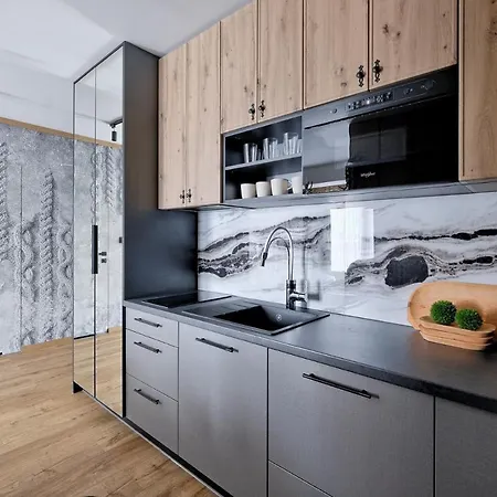 Apartamenty Male Zywczanskie Spa Odkryj Закопане Екстер'єр фото