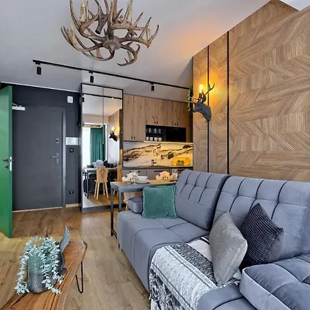 Apartamenty Male Zywczanskie Spa Odkryj Закопане Екстер'єр фото