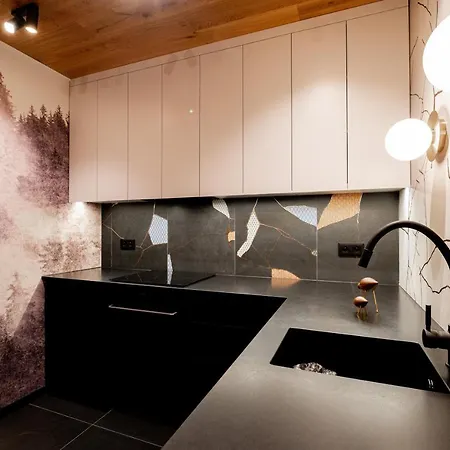 Apartamenty Male Zywczanskie Spa Odkryj Закопане Екстер'єр фото