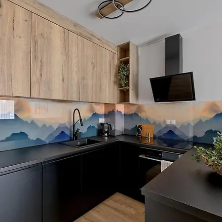 Apartamenty Male Zywczanskie Spa Odkryj Закопане Екстер'єр фото